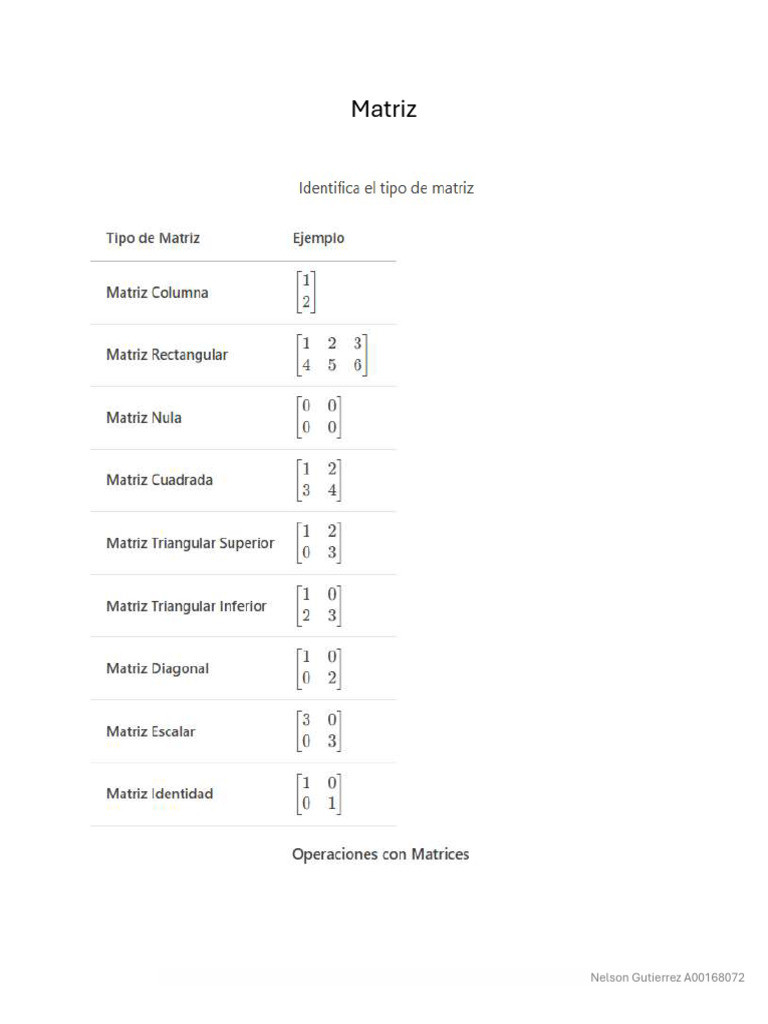Gutierrez Nelson Matriz | PDF