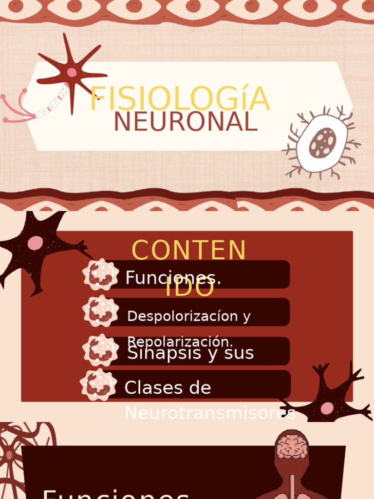 Fisiología Neuronal y Neurotransmisores | PDF | Sinapsis | Neurona