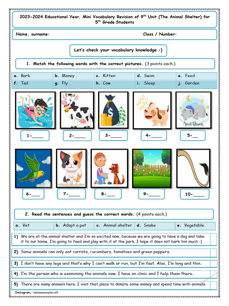 Animal Shelter Vocabulary Quiz for Kids | PDF