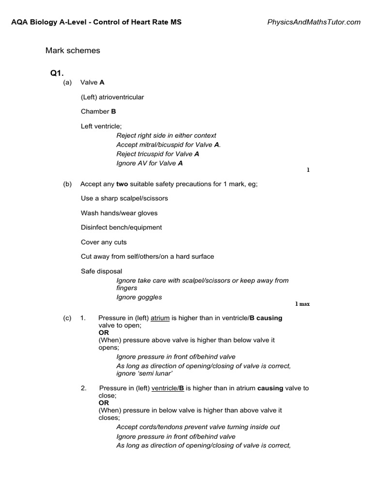 AQA Biology A-Level Heart Rate Control MS | PDF | Heart Valve | Action ...