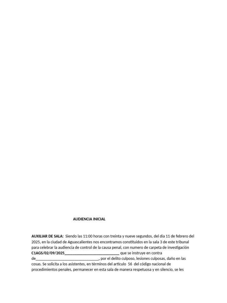 Audiencia Inicial de Control Penal 2025 | PDF