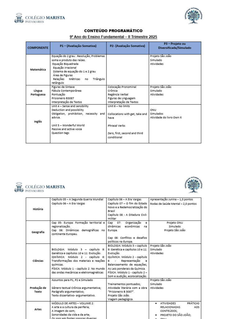 Conteúdo Programático 9º Ano 2025 | PDF | Som | Física