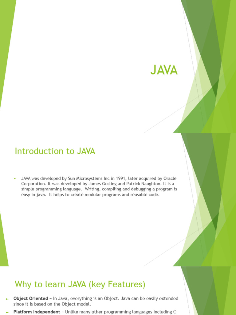 Introduction to Java Programming Basics | PDF | Java (Programming ...