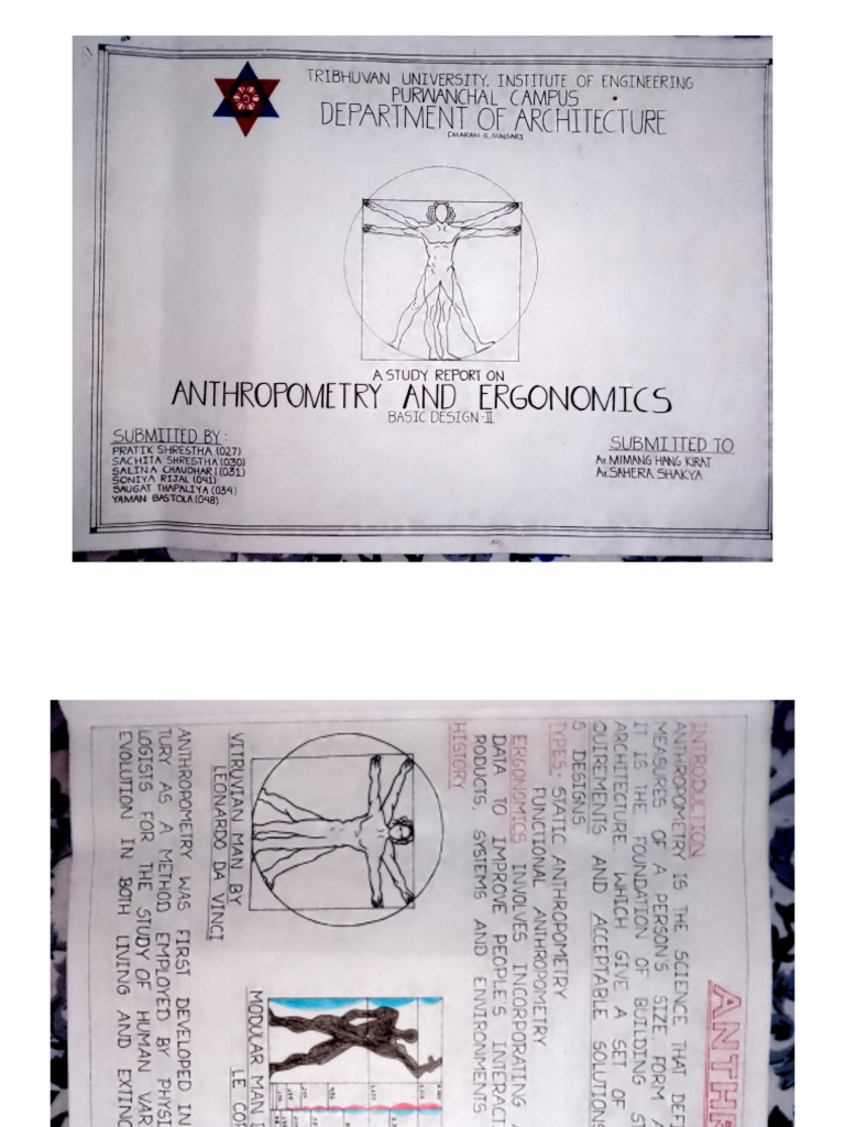Anthropometry | PDF
