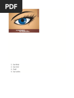 Realistic Human Eye Drawing Tutorial | PDF | Pencil | Drawing