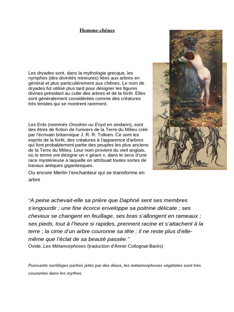 Dryopé : Métamorphose en arbre | PDF