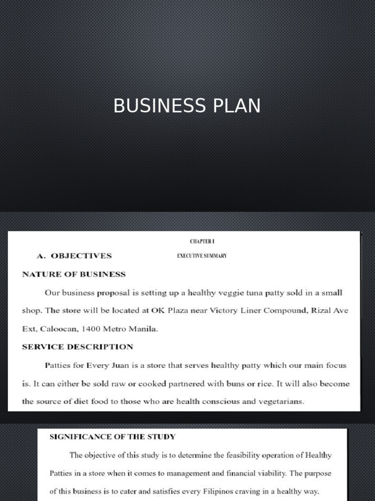 Business Plan Sample | PDF