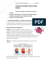 Tema i. Generalidades de Aparato Circulatorio. Electroencefalorama