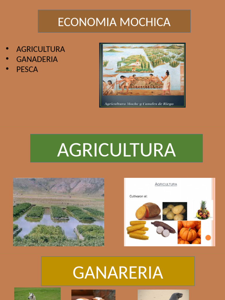 Cultura Mochica | PDF