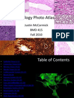 Histology Photo Atlas