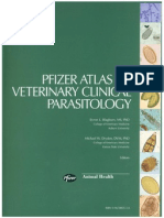 Atlas de Parasitologia Clinica (Inglês)