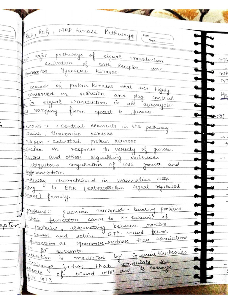 Cell Biology Notes | PDF