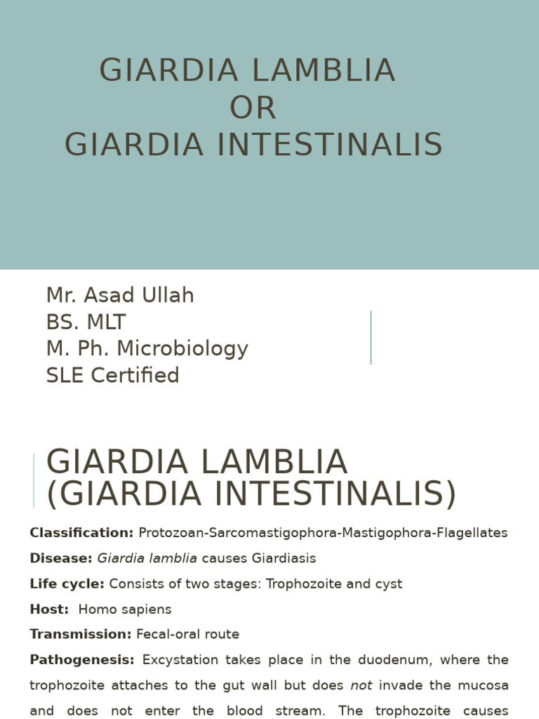 Giardia Lamblia | PDF
