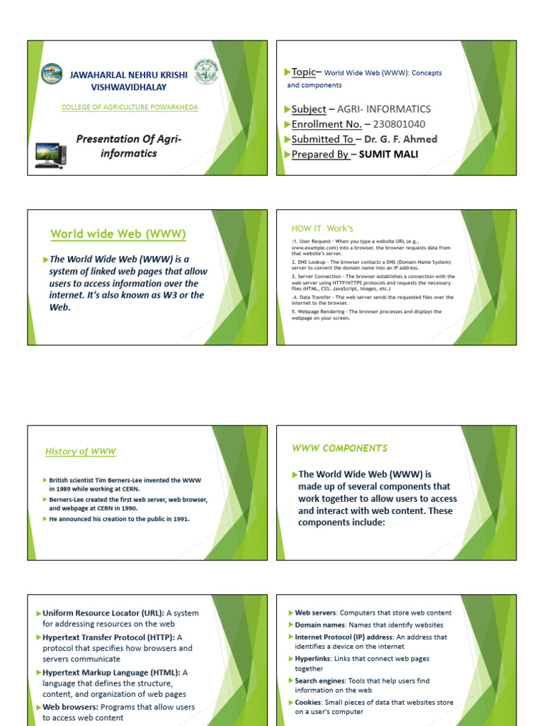 Overview of the World Wide Web | PDF | World Wide Web | Internet & Web