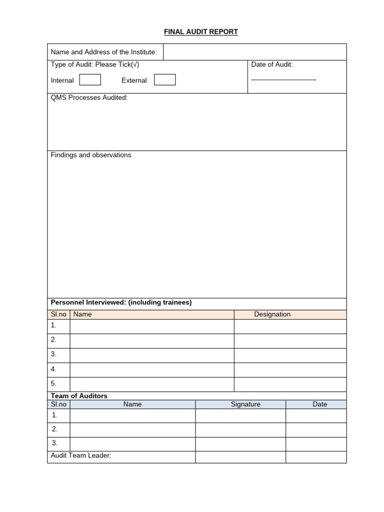 255150916audit Report | PDF