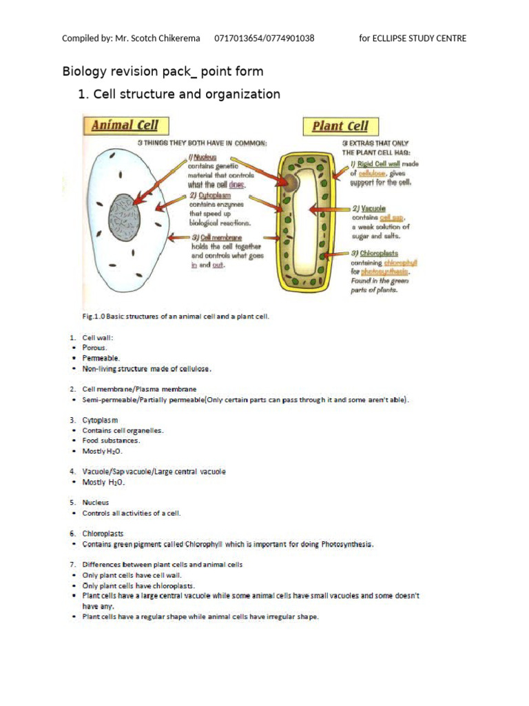 Biology Revision Pack - Point From | PDF | Chess Openings | Chess