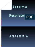 Sistema Respiratorio