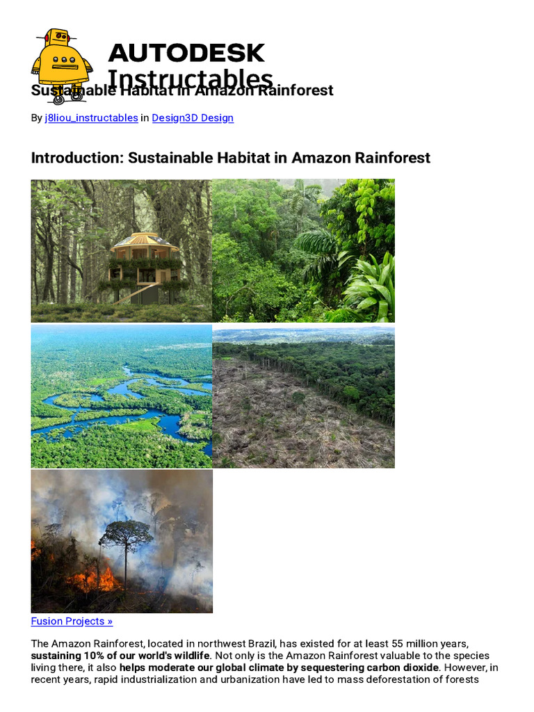 Sustainable Habitat for Amazon Rangers | PDF | Window | Rainforest