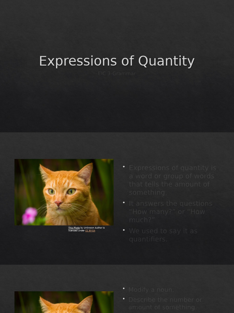 Understanding Expressions of Quantity | PDF | Plural | Grammatical Number