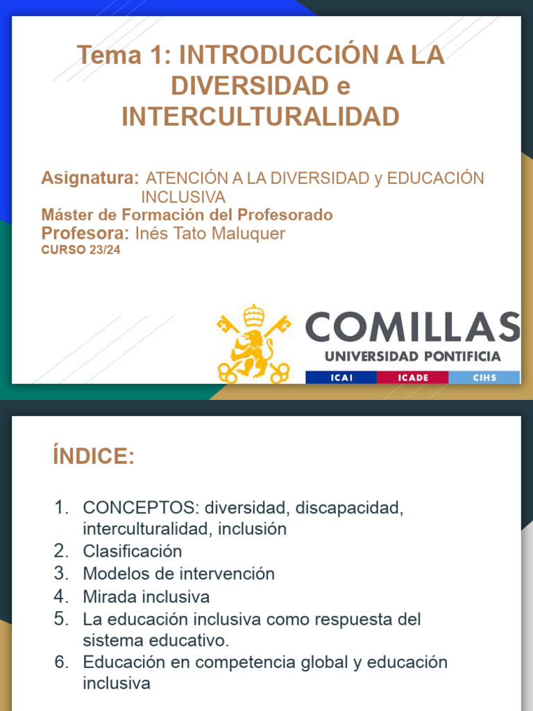 Diversidad e Inclusión en Educación | PDF | Educación primaria | Evaluación