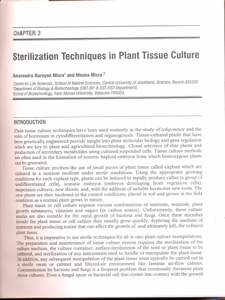 Sterilization Technique in Plant Tissue Culture | PDF