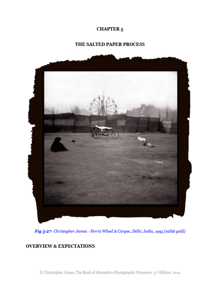 Salted Paper Photography Process Guide | PDF | Silver | Salt
