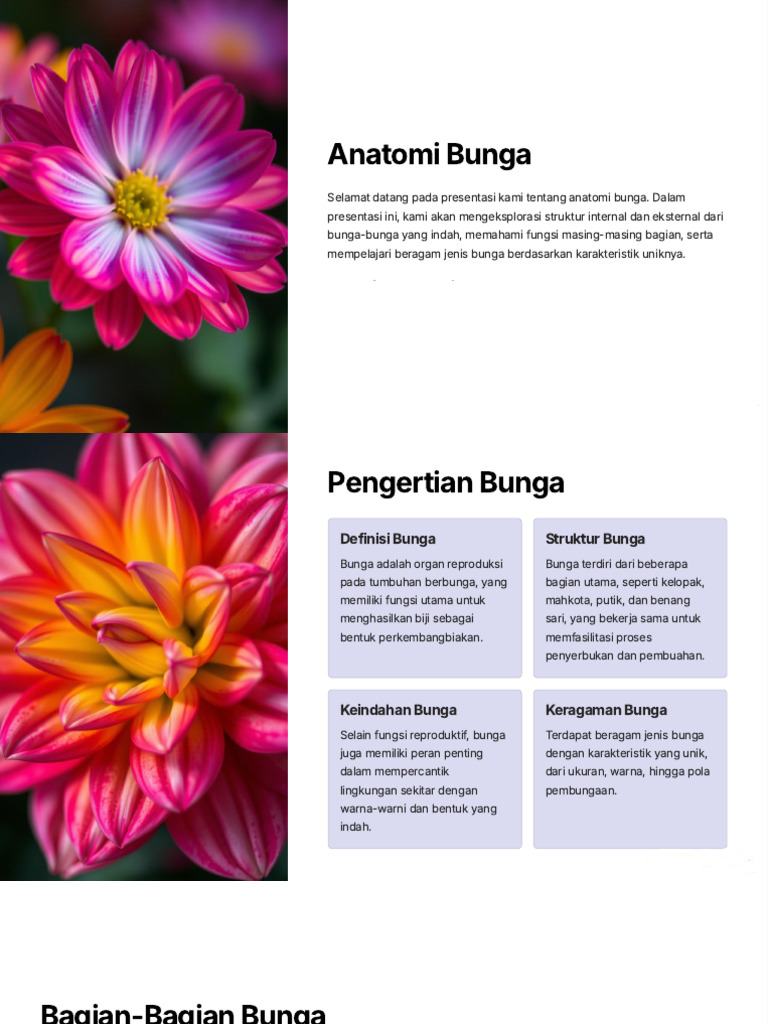 Anatomi Bunga | PDF