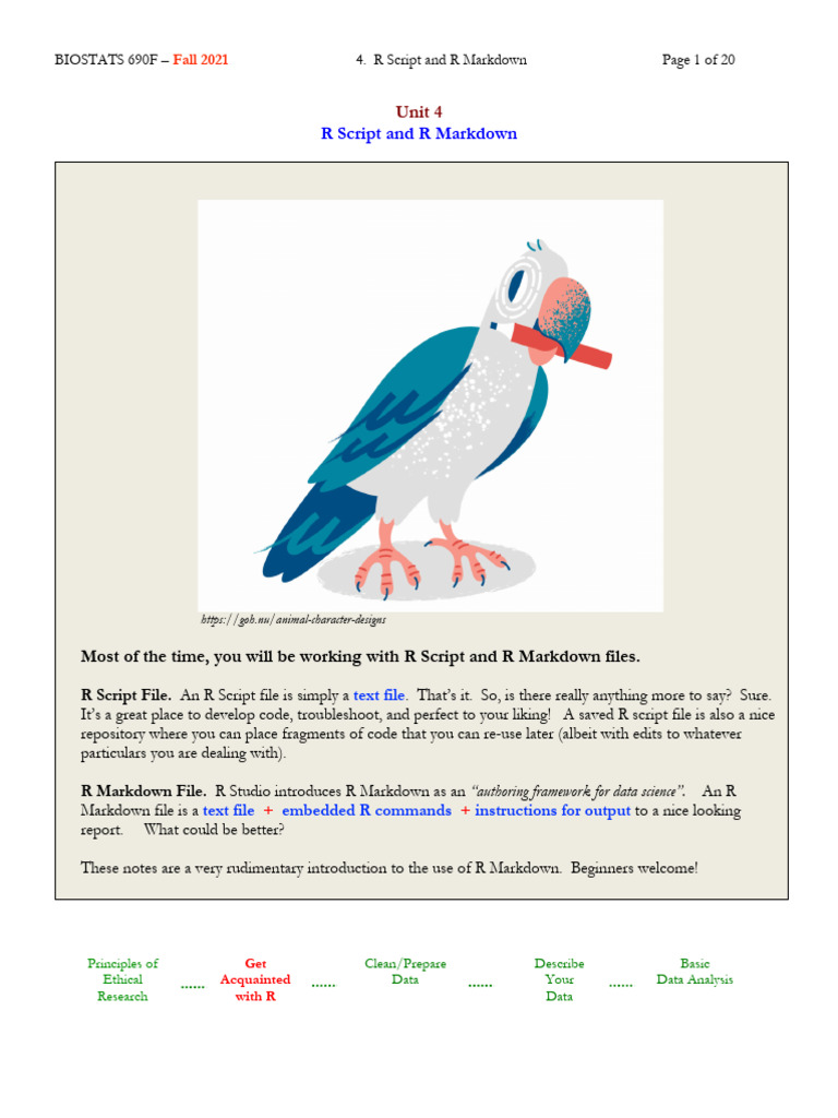 R Script vs R Markdown Explained | PDF | Command Line Interface ...
