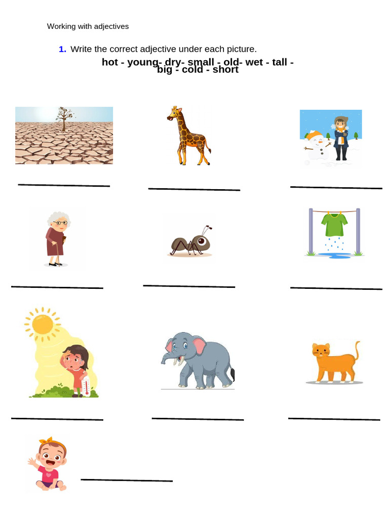 Adjective Comparison Exercises | PDF