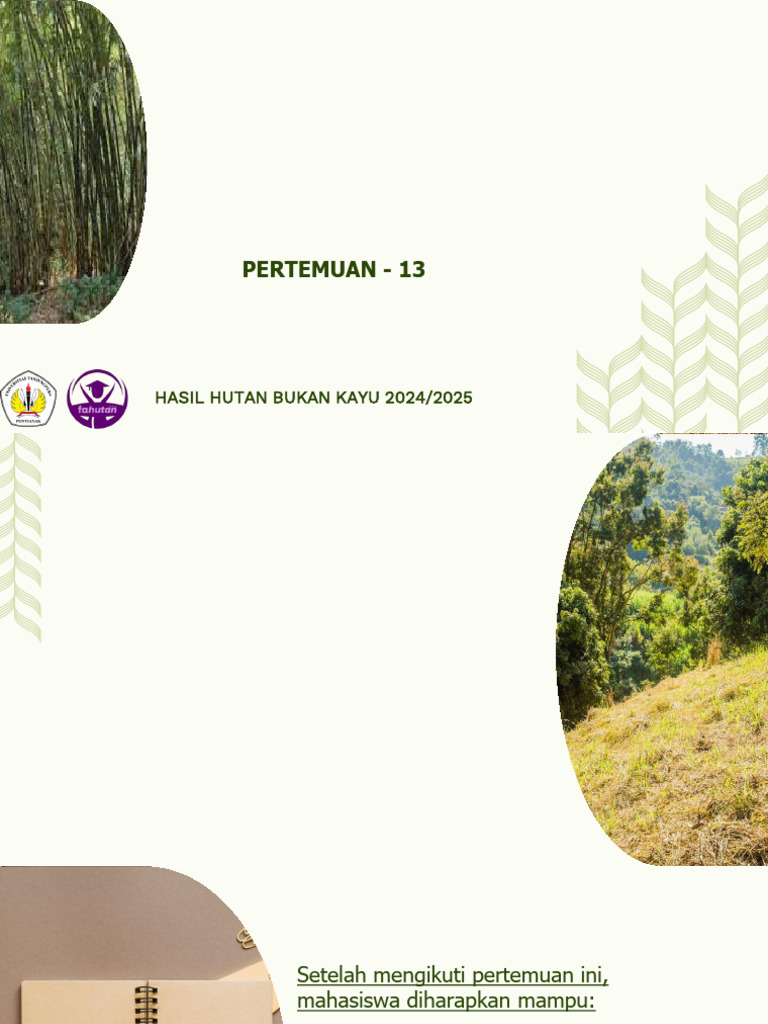 Manfaat dan Jenis Rotan di Indonesia | PDF