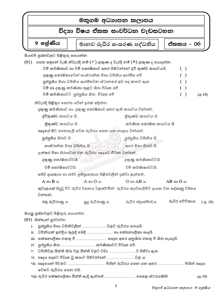 Grade 9 | PDF