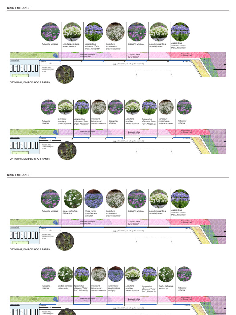 Vegetation Plan - MAIN ENTRANCE | PDF | Garden Plants | Botany