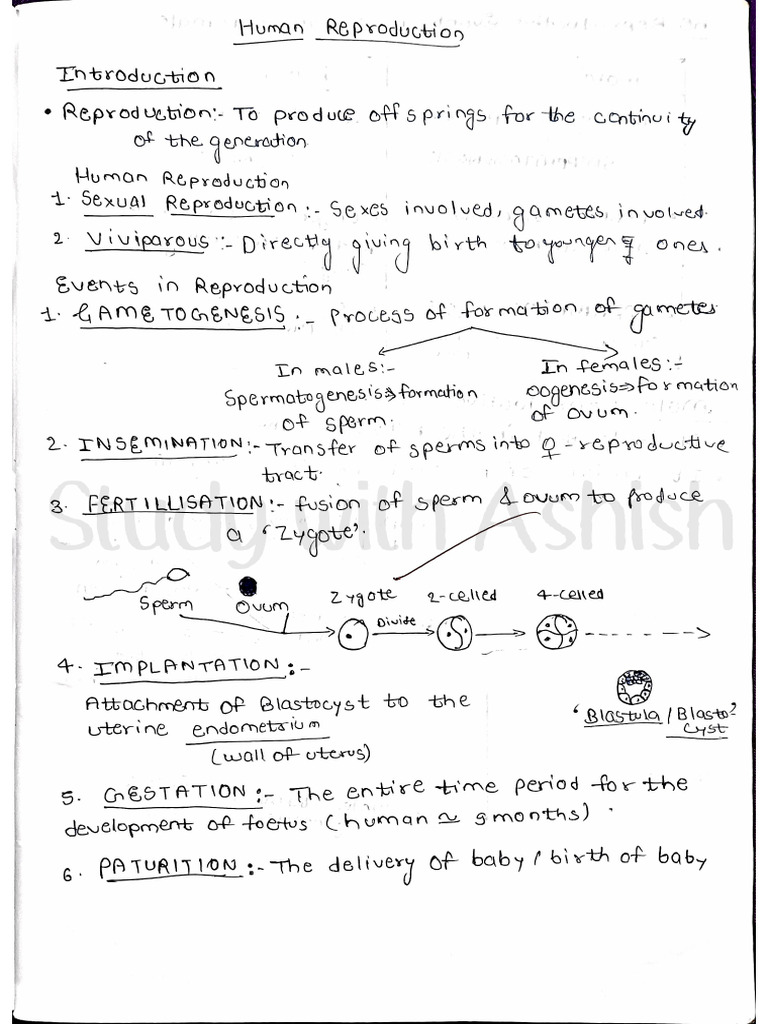 Human Reproduction | PDF