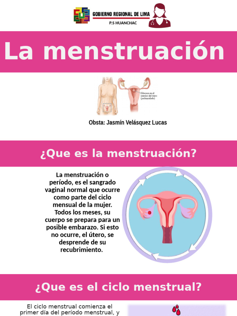 La Menstruación | PDF