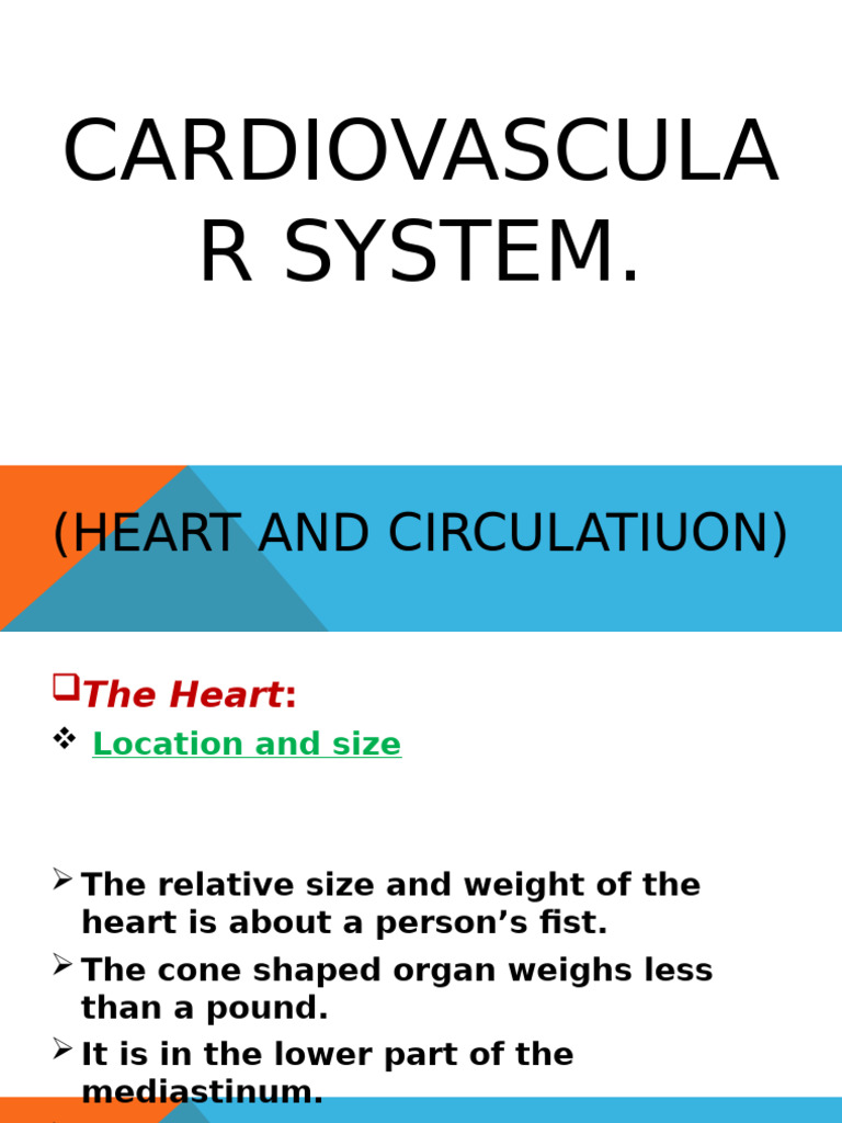 Heart Anatomy and Function Explained | PDF | Heart Valve | Heart