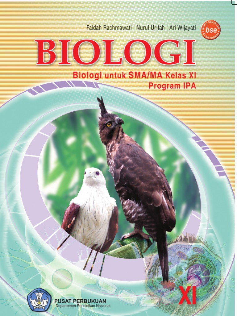 20090904220046 Kelas11 IPA Biologi Faidahrachmawati