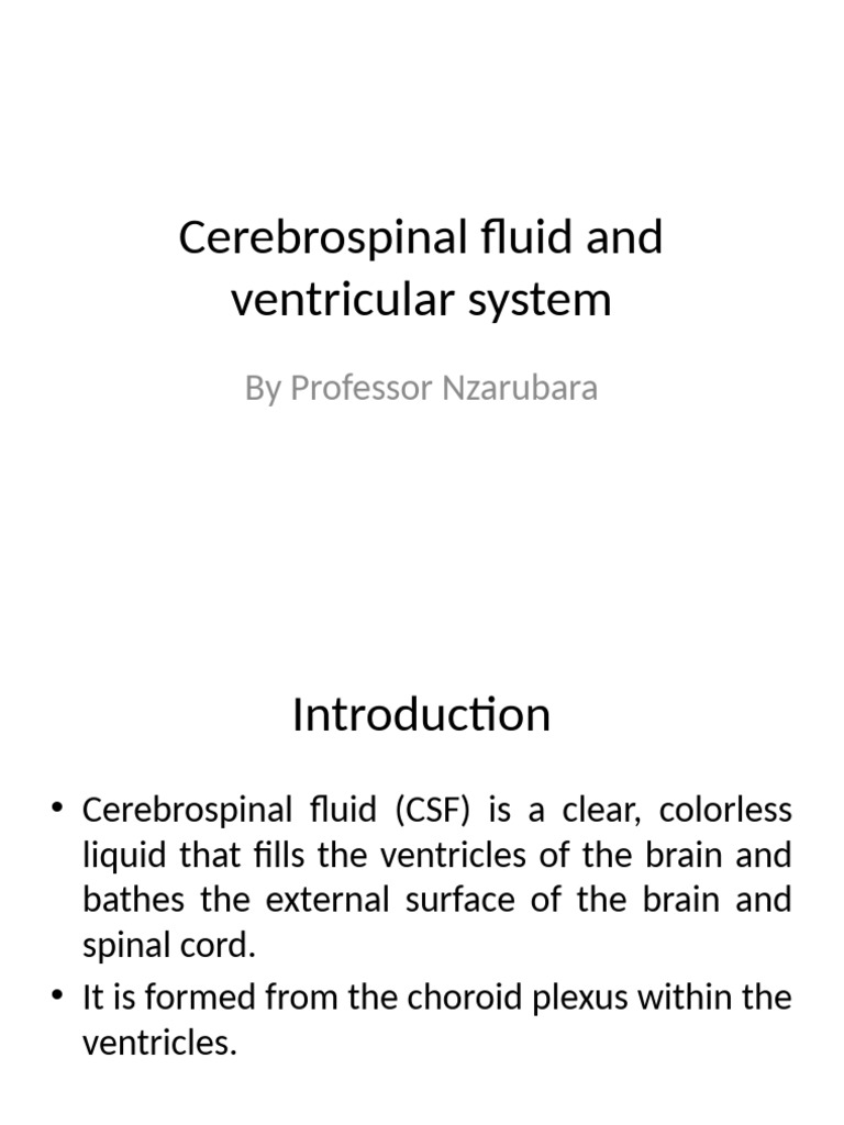 Cerebrospinal Fluid and Ventricular System | PDF | Cerebrospinal Fluid ...