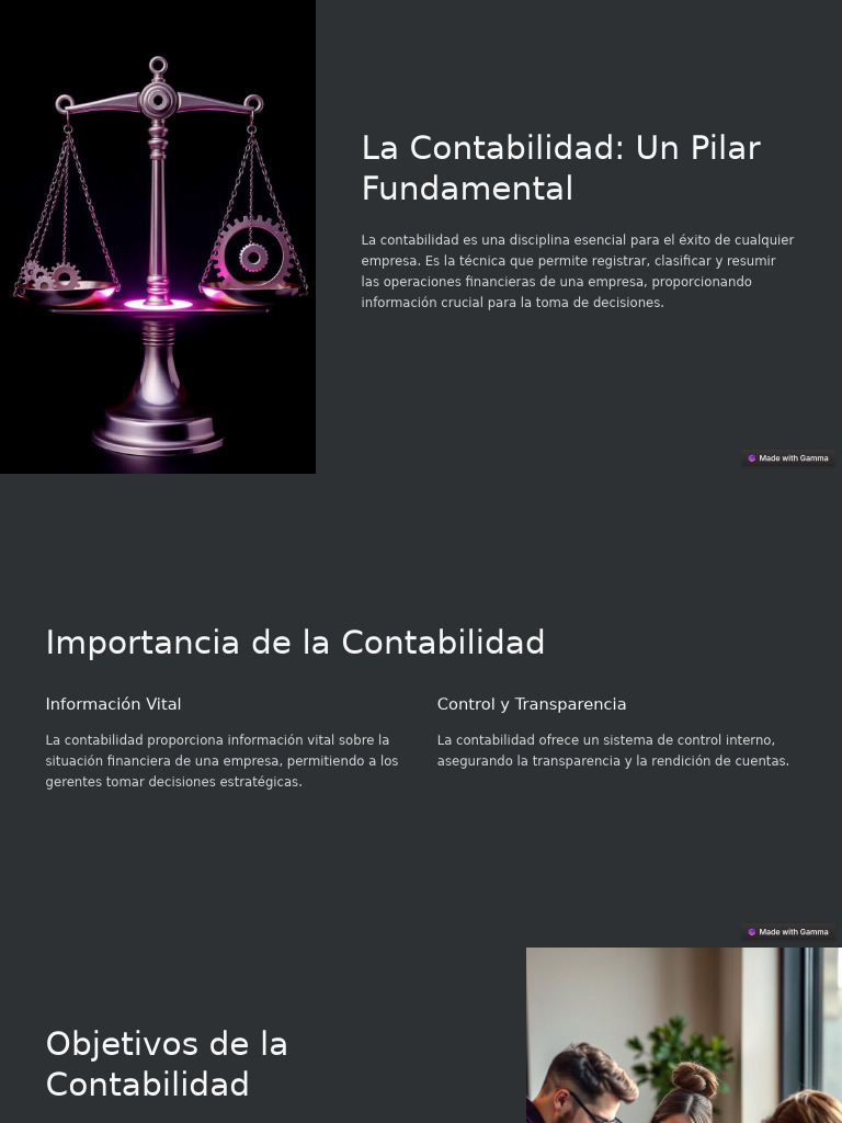 Importancia y Elementos de la Contabilidad | PDF