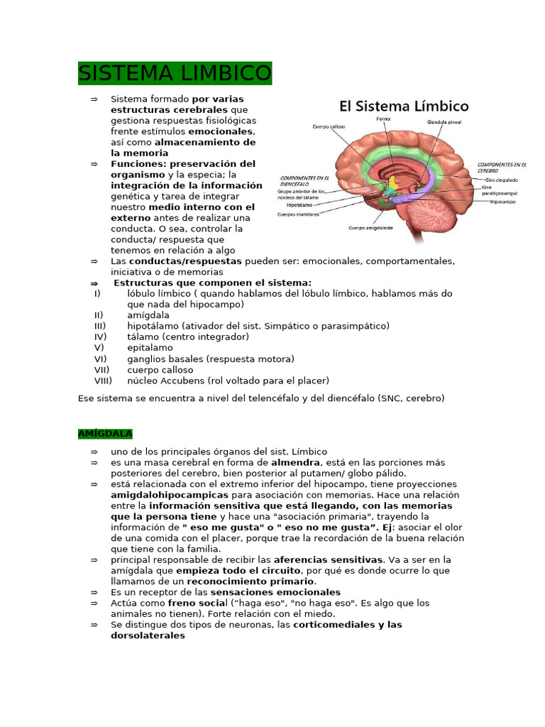 Funciones y Estructuras del Sistema Límbico | PDF | Sistema límbico ...