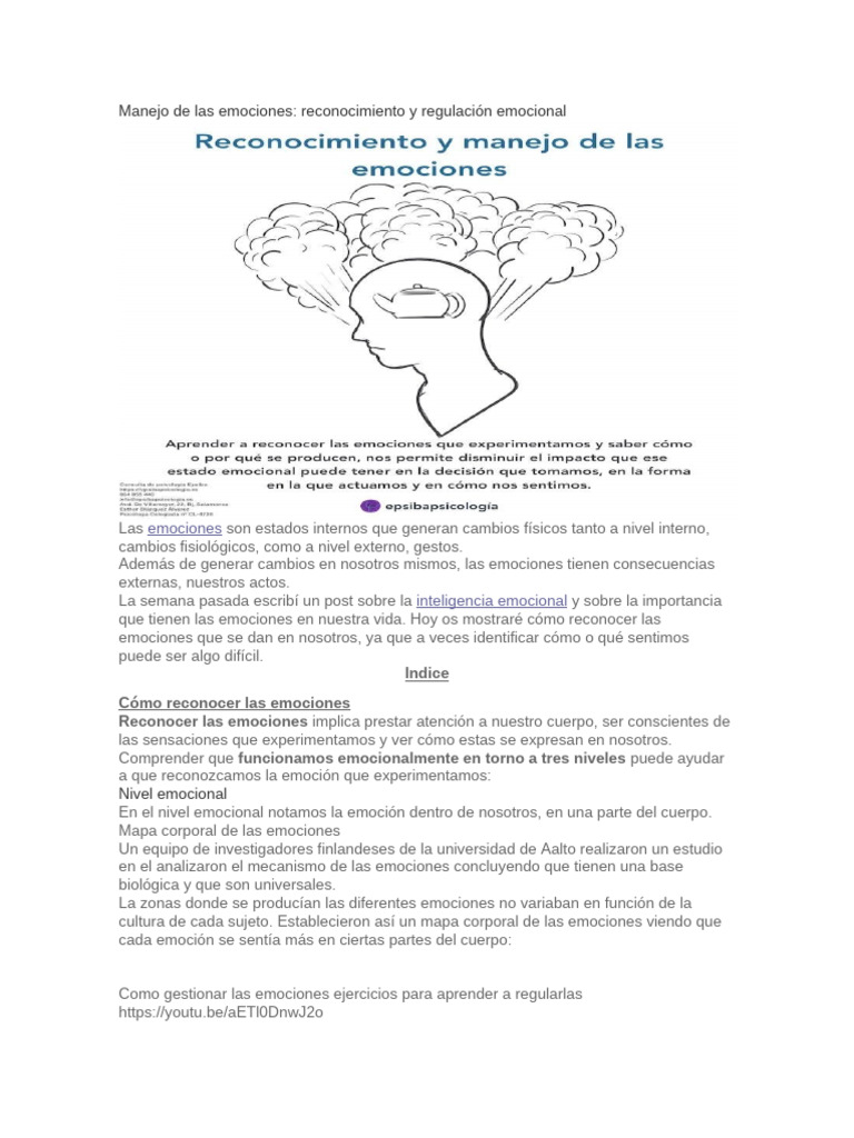 Manejo de Las Emociones | PDF | Las emociones | Pensamiento