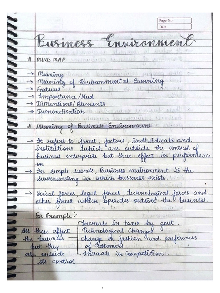 BST CH 3 Business Environment | PDF