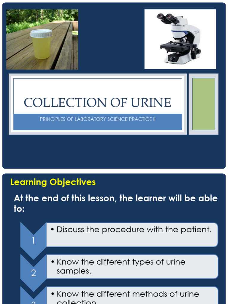 Urine Collection Methods and Procedures | PDF | Medical Specialties ...