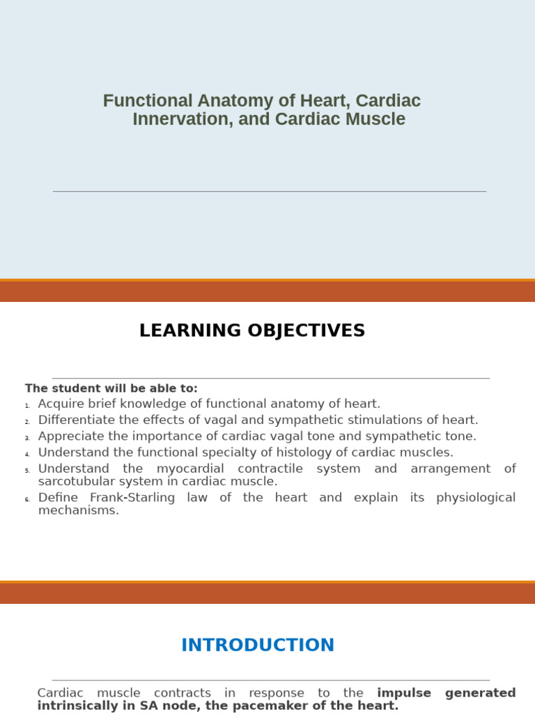 Heart Anatomy and Cardiac Function Overview | PDF | Heart Valve ...