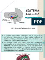 2.5. Sistema Limbico