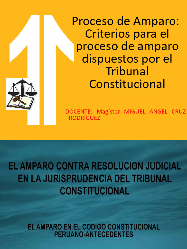 Criterios del Proceso de Amparo Constitucional | PDF | Habeas corpus ...
