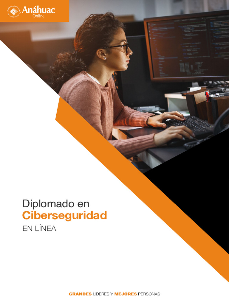 Diplomado en Ciberseguridad en Línea | PDF | La seguridad informática ...
