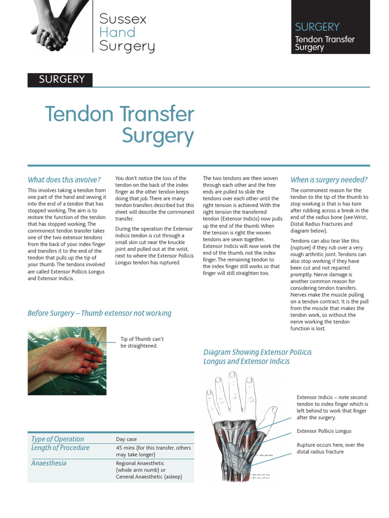 Tendon Transfer Surgery | PDF | Thumb | Finger