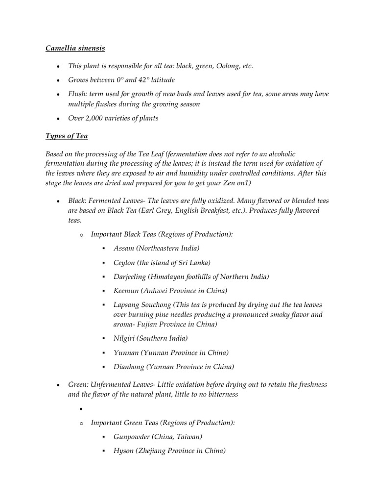 Tea Basics | PDF | Tea | Leaf