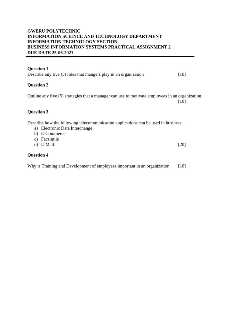 Business Information Systems Assignment | PDF