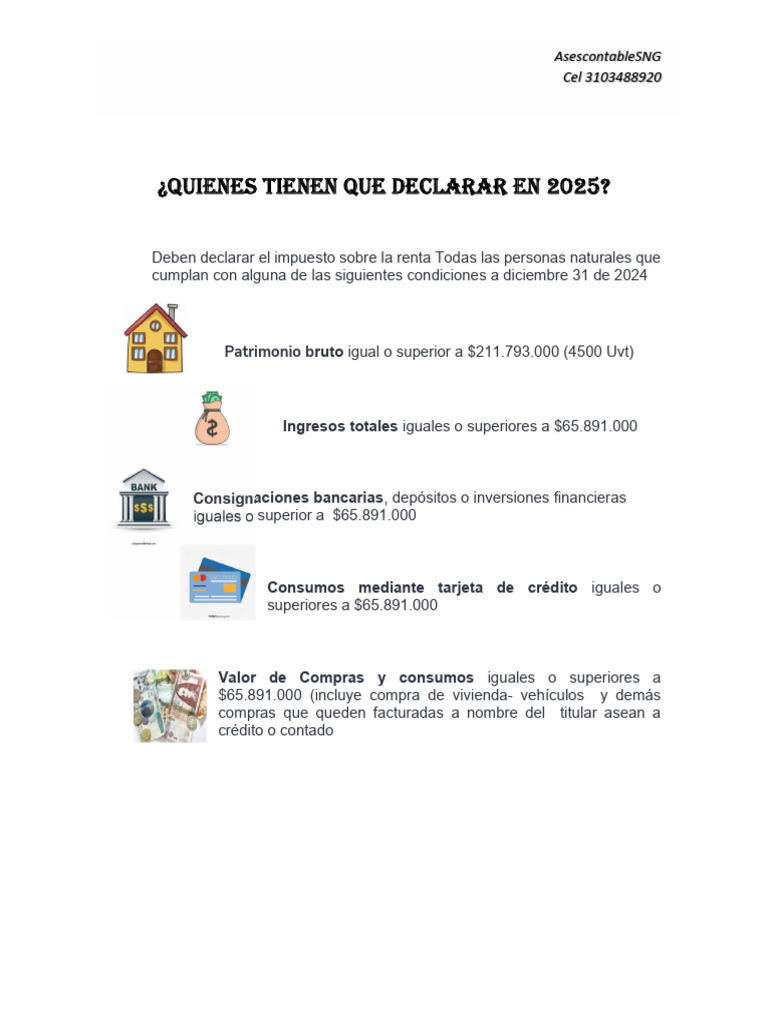 Guía para Declarar Renta 2025 | PDF